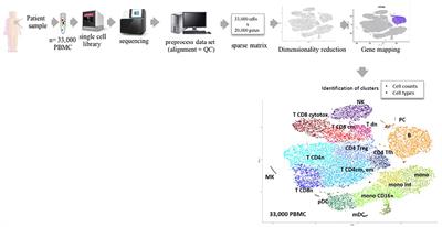 Lymphoma Heterogeneity Unraveled by Single-Cell Transcriptomics